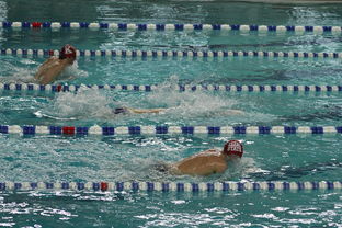 开云ky官网-亚洲游泳冠军赛孙杨携队友力夺接力金，中国游泳冠军孙扬