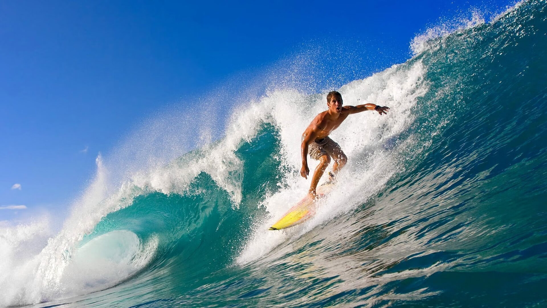 亚洲游泳冠军赛孙杨携队友力夺接力金，中国游泳冠军孙扬